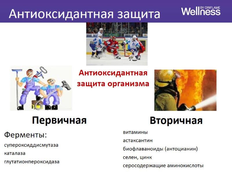 Антиоксидантная защита Первичная Ферменты: супероксиддисмутаза каталаза глутатионпероксидаза  Вторичная  витамины астаксантин биофлаваноиды (антоцианин)